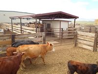 Covered hydraulic squeeze chute