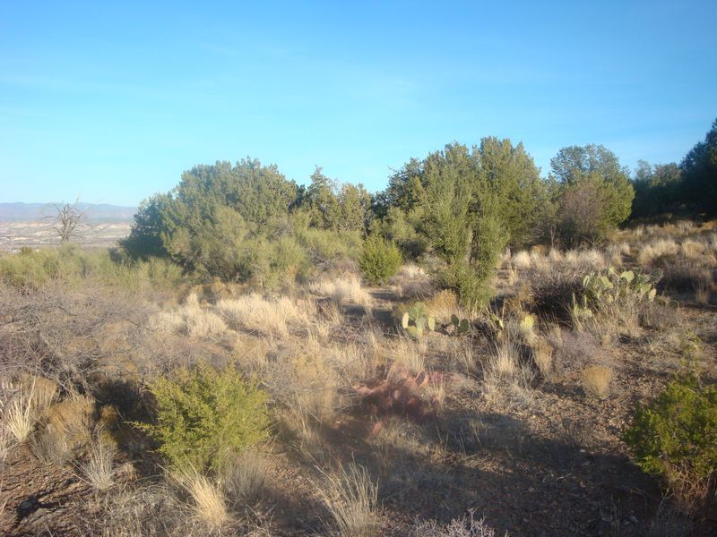 Copper Canyon Ranch Yavapai County Arizona Headquarters West