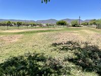 Fall color near River to home