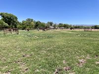 Pasture during summer