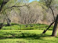 Pasture near river after spring rains