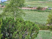Paddock view from house
