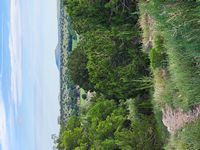 View from house