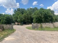 Front 30 trees
