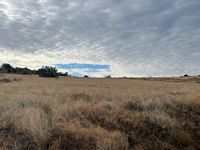 Blue Bell pasture