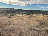 Blue Bell pasture