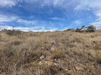 Blue Bell pasture