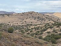 Blue Bell pasture