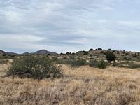 Blue Bell pasture