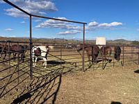Horses Triangle M HQ