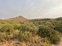 Horsethief Grazing Allotment