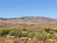 Horsethief Grazing Allotment