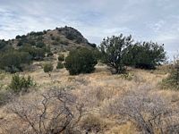 Mineral Pasture