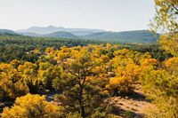 Fall colors