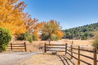 Entering homestead area