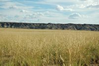 Badlands and grass