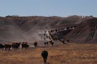 Trailing up the badlands