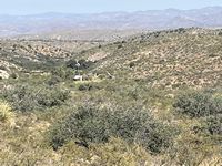 Homestead 160