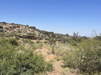 Homestead Corral
