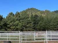 Corrals