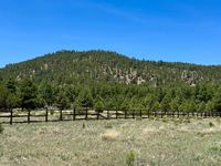 North pasture