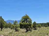Wineglass ranch