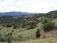 Doll Baby Ranch Ranch - Payson, Gila County, Arizona, Headquarters West ...