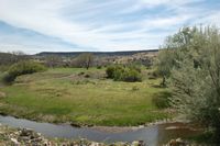 Little Colorado River