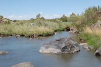 Little Colorado River