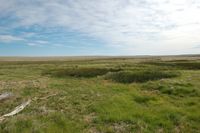 The Cienega sub-irrigated meadow