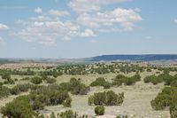 AZ State Grazing lease