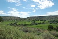 Irrigated Farm