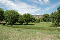 Irrigated Farm