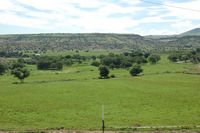 Irrigated Farm