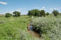 Irrigation Ditch