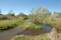 Little Colorado River