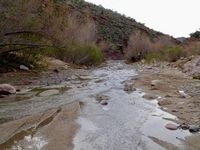 Hassayampa River - taken on adverse land in the Box Canyon area